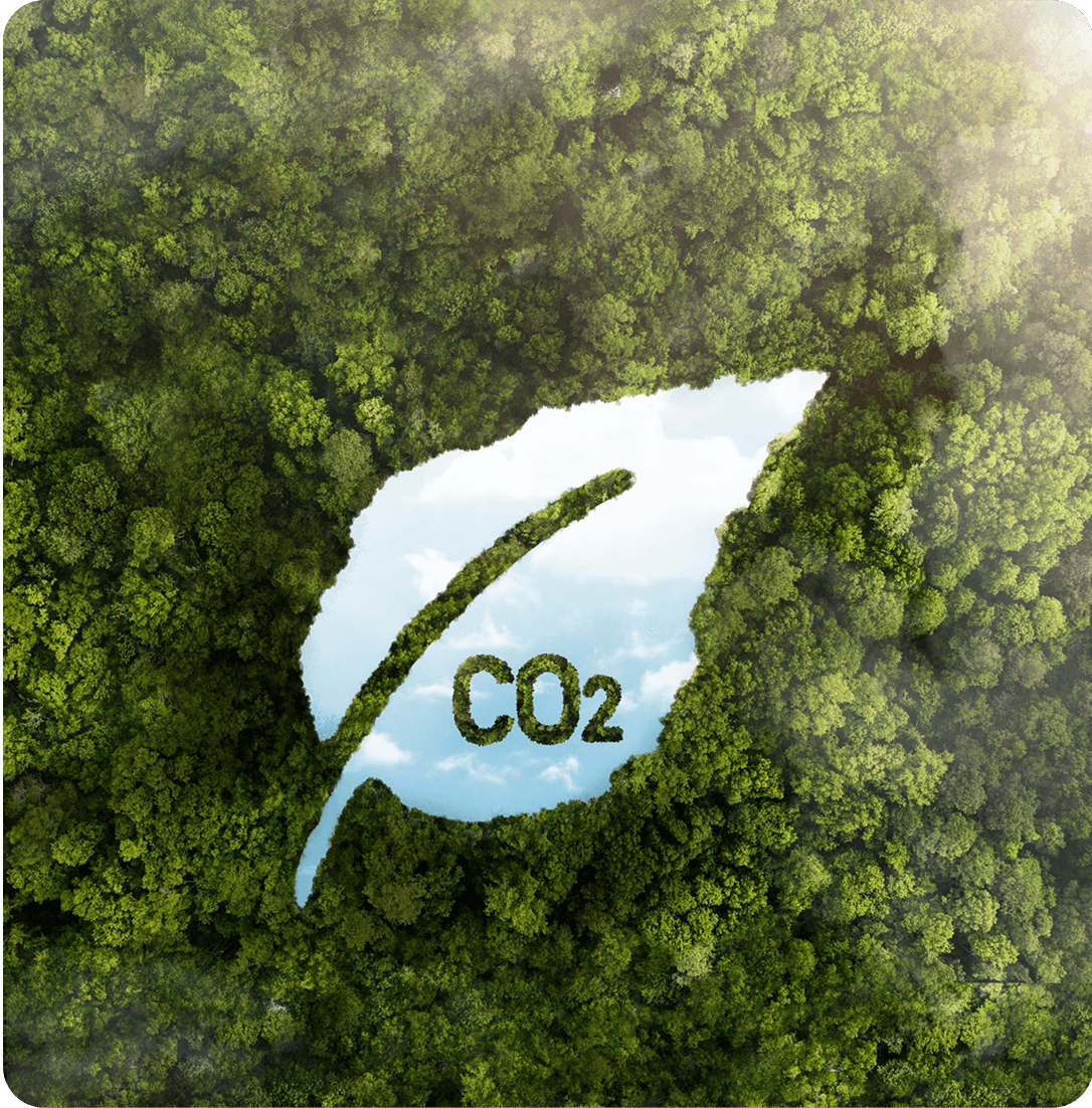 Understanding Greenwashing and Its Consequences.