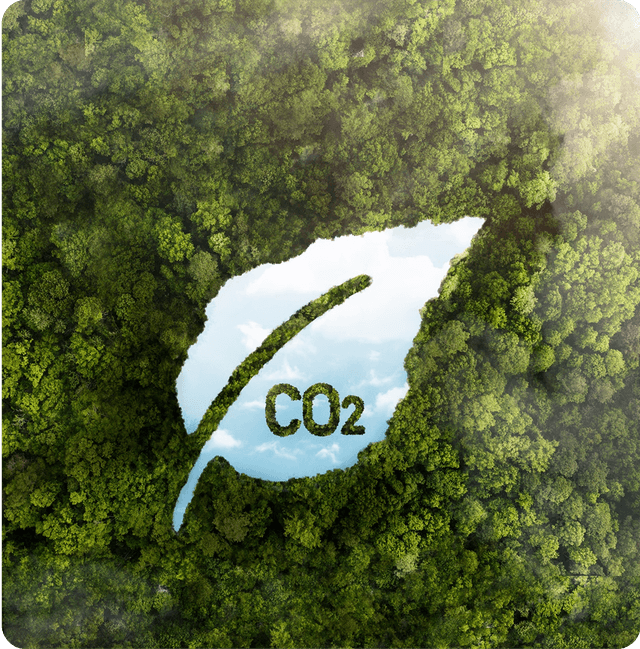 Understanding Greenwashing and Its Consequences.